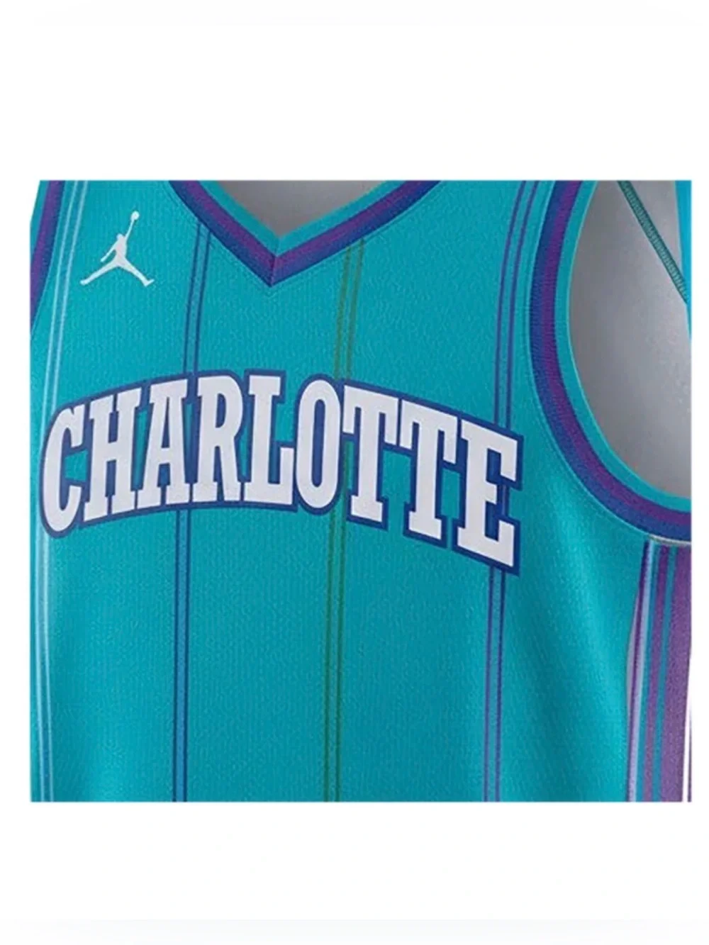 Nike Jordan Charlotte Hornets Swingman Classic Jersey Men’s Size M NWT